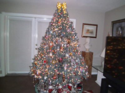 Christmas Tree 2015 002.JPG