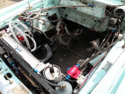 REEF TANK.588 IN CAR 015.jpg