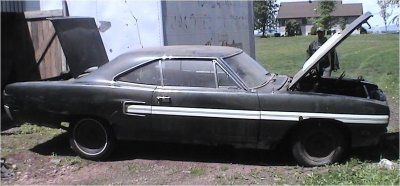 the find 1.JPG the find 1.JPG