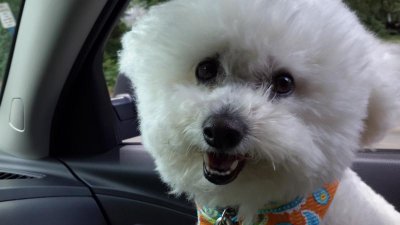 20150823_141415.jpg