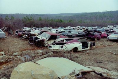 junkyard classic fords small.jpg junkyard classic fords small.jpg
