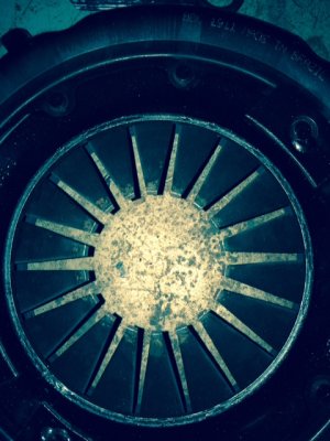 IMG_1533.JPG IMG_1533.JPG