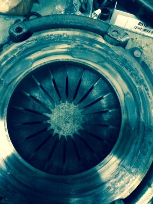 IMG_1534.JPG IMG_1534.JPG