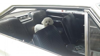 20150705_004709.jpg