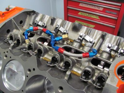 Donny B 426 009.jpg Donny B 426 009.jpg