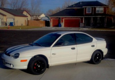 for sale 1.jpg