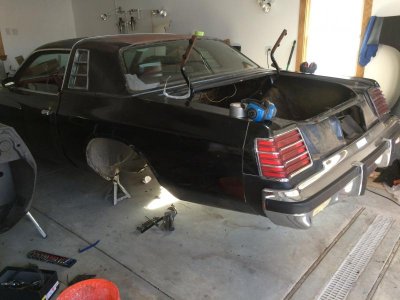 rear section trunk.jpg rear section trunk.jpg