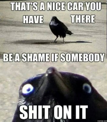 Meme---Thats-a-nice-car-you-have.jpg Meme---Thats-a-nice-car-you-have.jpg