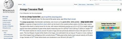 shark average.jpg