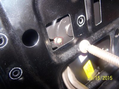 100_7215.jpg 100_7215.jpg