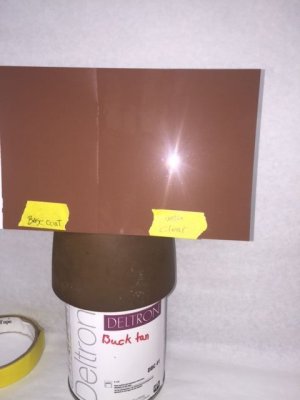 buckskin3 tan.jpg buckskin3 tan.jpg