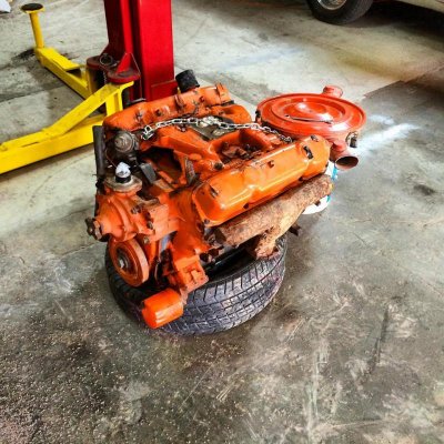 1970424_10153159416364688_3520384948823564335_n.jpg 1970424_10153159416364688_3520384948823564335_n.jpg