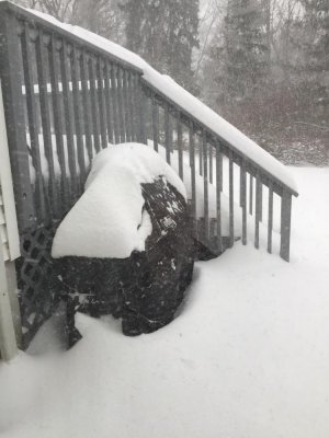 grill in snow.jpg