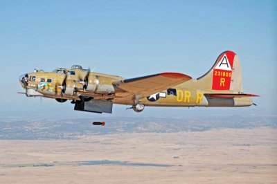 DSC_1687-2.jpg DSC_1687-2.jpg