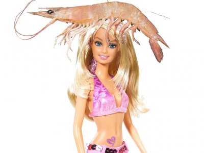 ShrimpOnTheBarbie.jpg