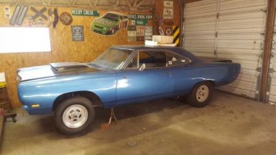 road runner.jpg