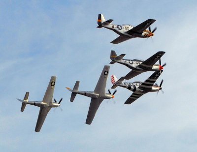 GATHERING OF MUSTANGS1.jpg GATHERING OF MUSTANGS1.jpg