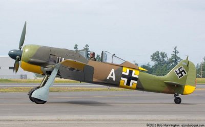 fw190 a5.jpg