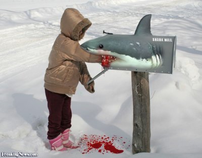 Shark-Mailbox-69440.jpg