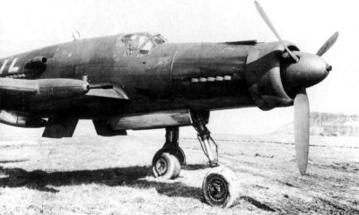 do335_V13_02.jpg do335_V13_02.jpg