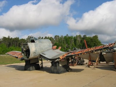 IMG_6175.JPG IMG_6175.JPG