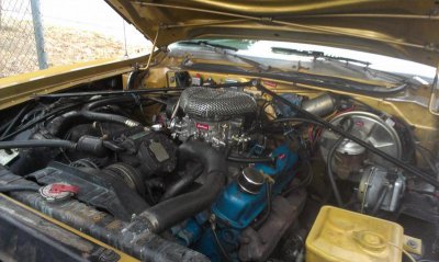 IMAG0007.jpg IMAG0007.jpg