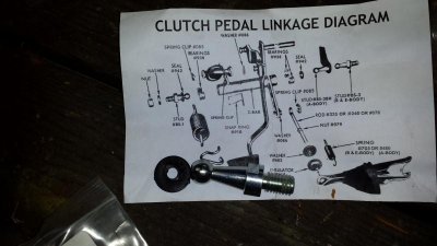 20160205_184550 (Large).jpg