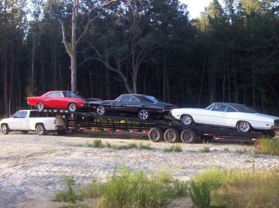 3carhauler1002074.jpg