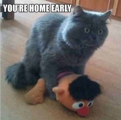 Ernie and cat.jpg