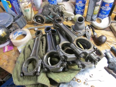 IMG_2955.jpg IMG_2955.jpg