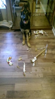 IMAG0220_BURST003.jpg