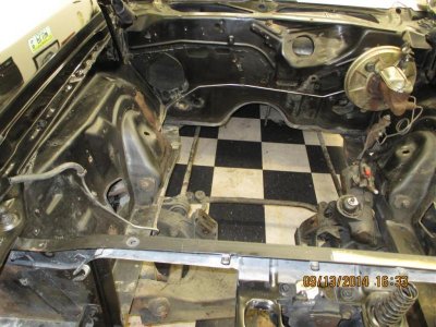 IMG_0384 (Large).jpg IMG_0384 (Large).jpg