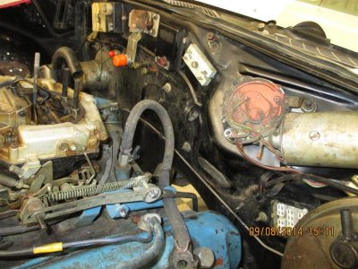 IMG_0356 (Large).jpg IMG_0356 (Large).jpg