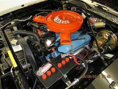 IMG_0842 (Large).jpg IMG_0842 (Large).jpg