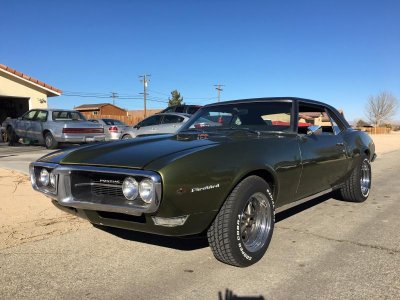 Firebird 0002.jpg