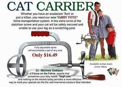 catcar.jpg