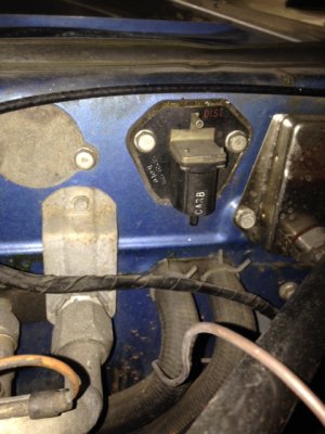 IMG_0509.JPG IMG_0509.JPG