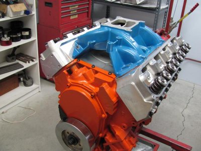 Tim Borrall 440 044.jpg