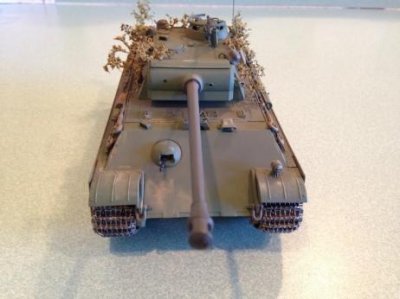 Panther G model   1.jpg