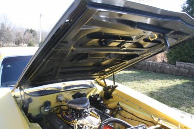 IMG_4584.jpg IMG_4584.jpg