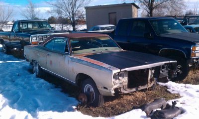 roadrunner.jpg roadrunner.jpg