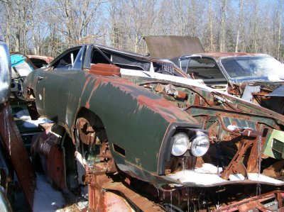 junk yard march 26 074.jpg