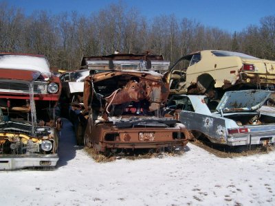 junk yard march 26 076.jpg