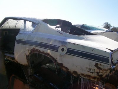 junk yard march 26 081.jpg