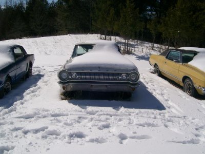 junk yard march 26 097.jpg