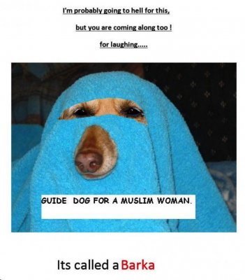 Image 3-8-16 at 9.11 AM.jpg