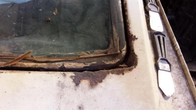 20150521_110314 (Large).jpg