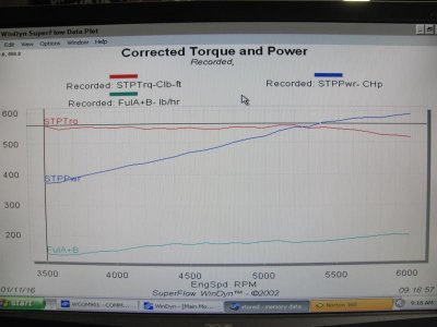 Tim Borrall 440 079.jpg