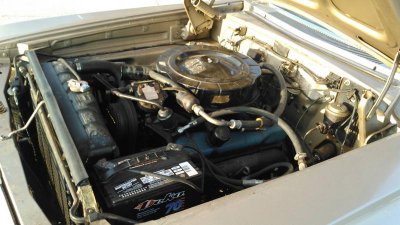 12829298_10153474123247817_5838412704034663565_o.jpg 12829298_10153474123247817_5838412704034663565_o.jpg