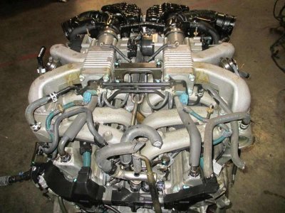 IMG_9109_zpsjy5kgjw1.jpg IMG_9109_zpsjy5kgjw1.jpg